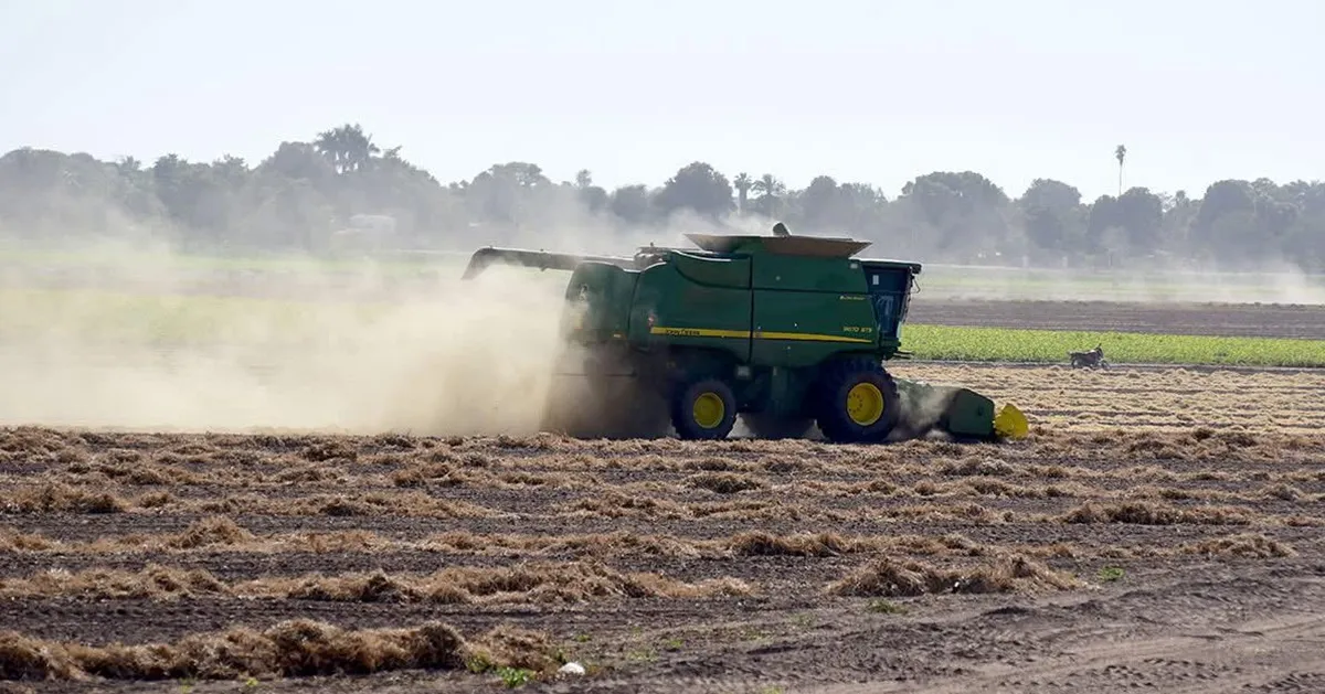 Ingenieros agrónomos proponen agroecología y financiamiento para el campo mexicano