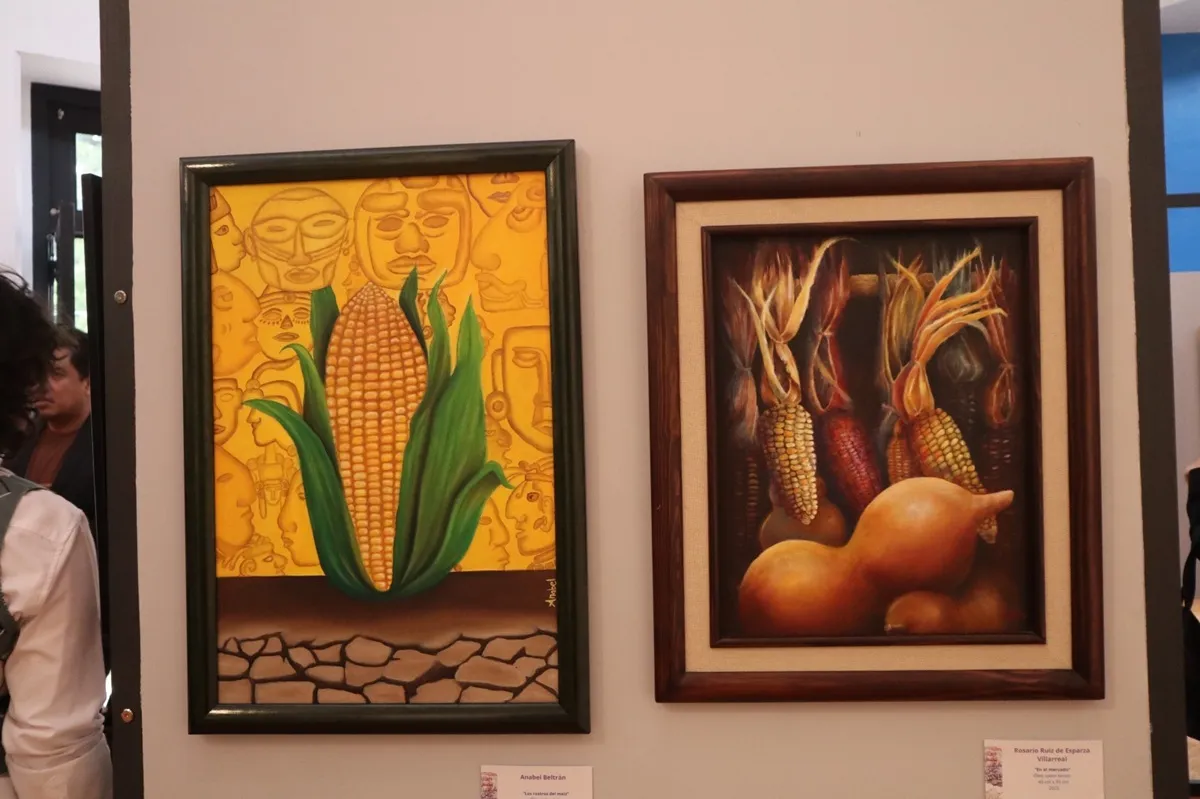 Chapingo celebra la diversidad de cultivos con exposición de arte botánico sobre la milpa