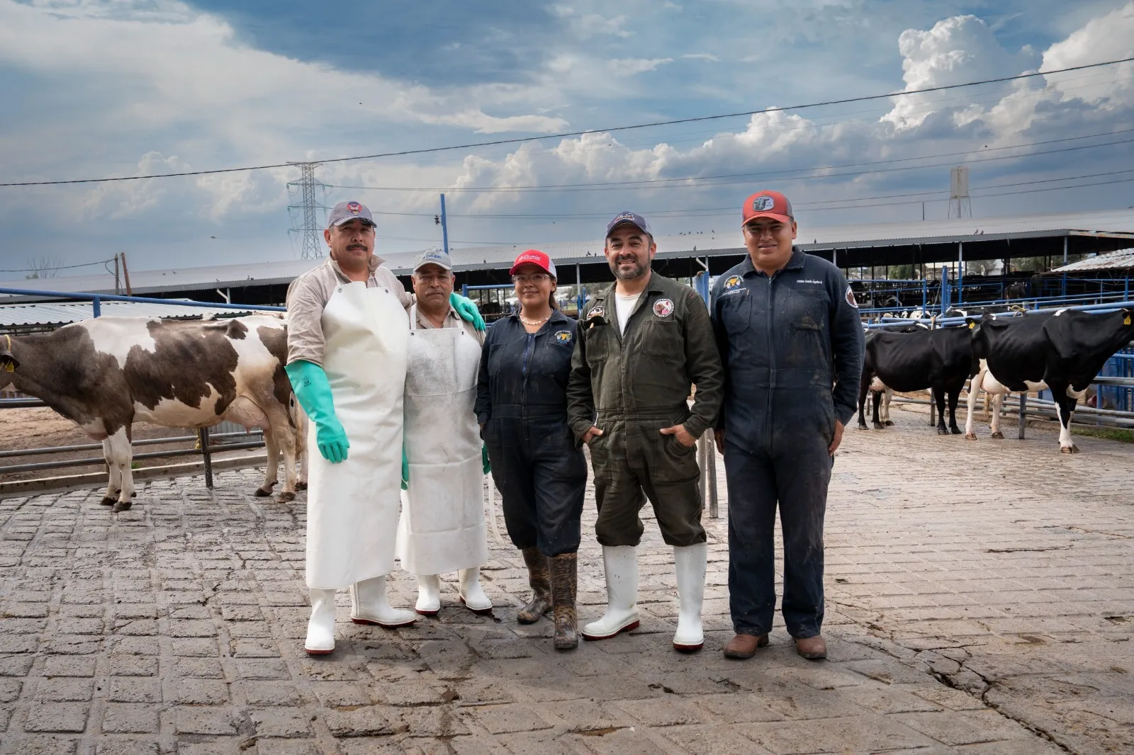 Imagen del artículo