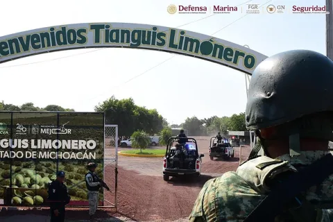 Aseguran armas y explosivos en zonas agrícolas de Michoacán