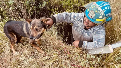 Atienden Bomberos Voluntarios Pirámides rescate de peludito