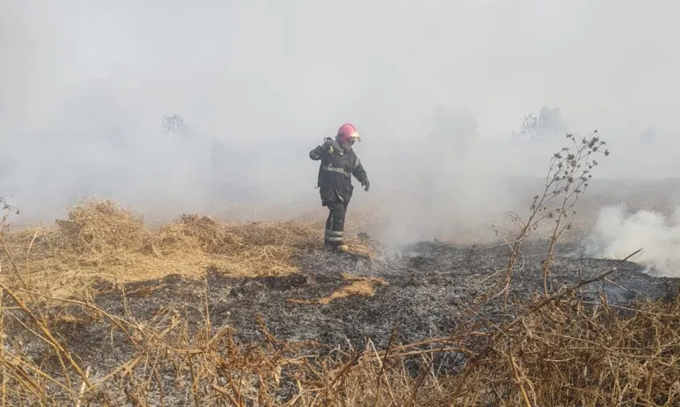 Controlan incendio de pastizales en zona federal de Nezahualcóyotl