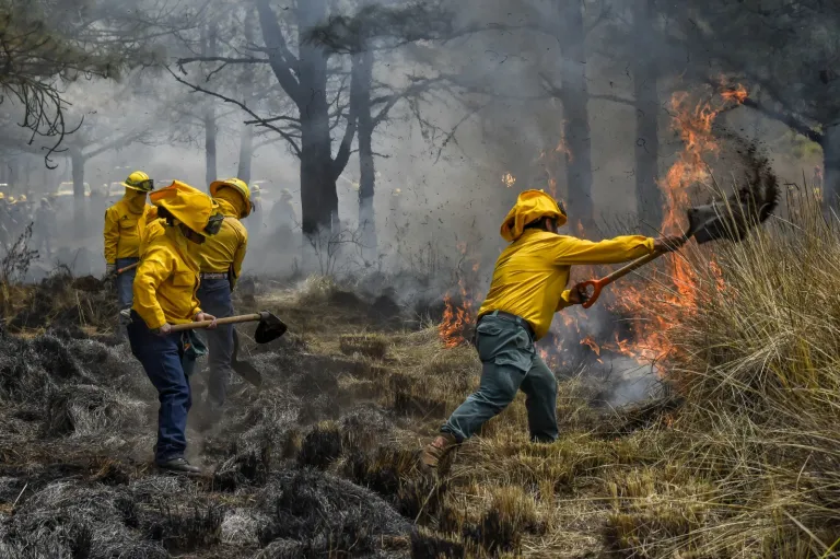 Coordinan brigadas municipales manejo del fuego en suelo mexiquense