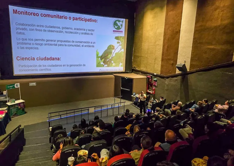 Detectan nueve especies de loros en zona urbana de Mérida