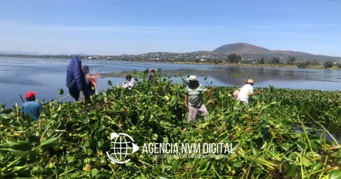 Exigen pescadores plan urgente para salvar la Laguna de Zumpango