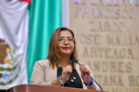 Exigen retirar vallas frente a Palacio Nacional por 8M