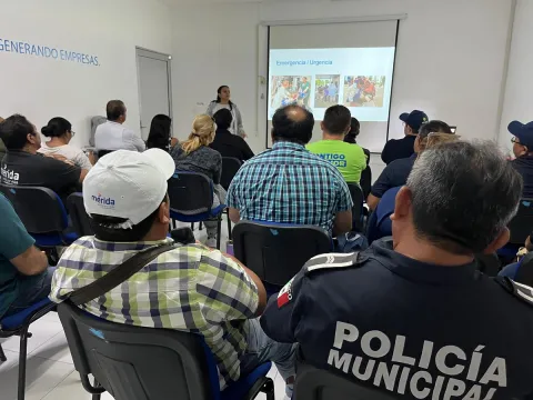 Impulsan en Yucatán planes de emergencia que incluyen a los animales ante temporada de huracanes