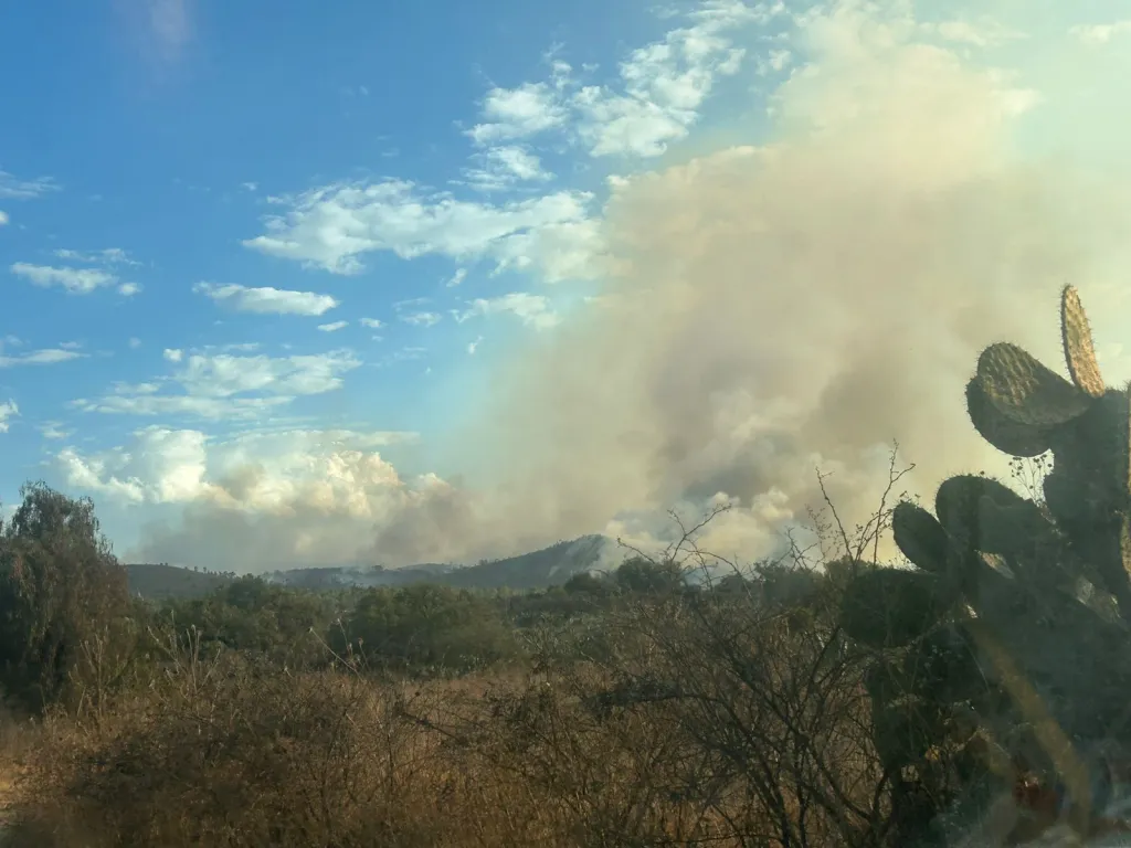 Investigan origen intencional de fuego forestal en Ejidos de Belem