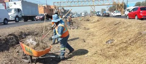 Limpian y podan camellón de la carretera Lechería–Texcoco en Acolman