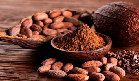 Proponen revalorizar el cacao mexicano con enfoque social