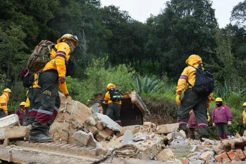Recuperan 10 hectáreas de suelo protegido en Los Dinamos