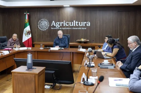 Refuerzan vigilancia sanitaria contra gusano barrenador en el EdoMéx