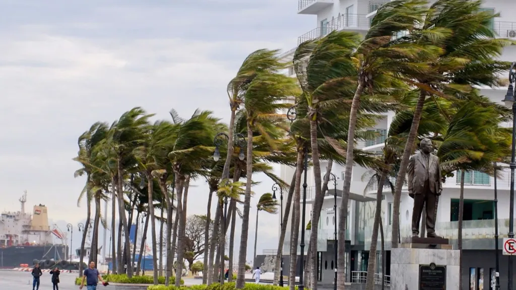 Reportan saldo blanco tras paso del frente frío 30 en el sureste