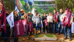 Siembran más de 35 mil árboles en la montaña de Texcoco 
