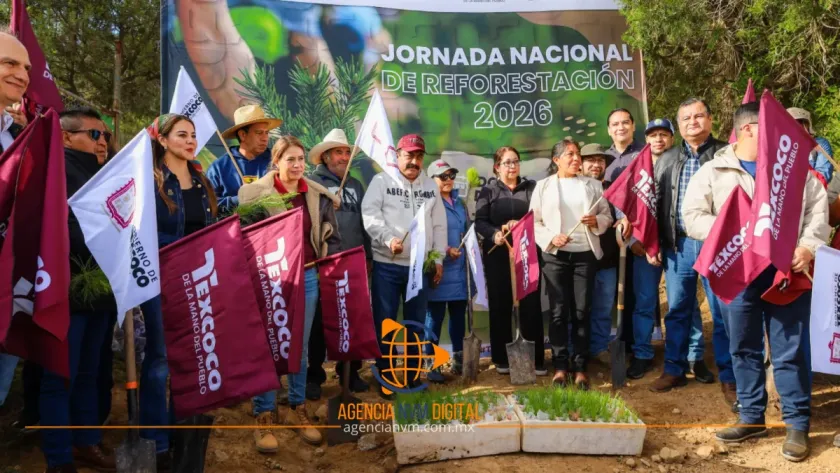 Siembran más de 35 mil árboles en la montaña de Texcoco 
