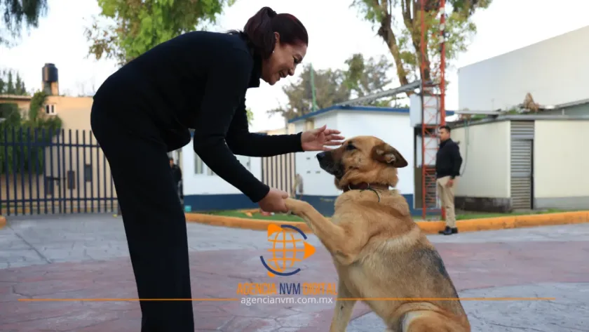 Celebra Tecámac Día del Perro con acciones al bienestar animal
