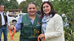 Capacitan a municipios en manejo de arbolado urbano