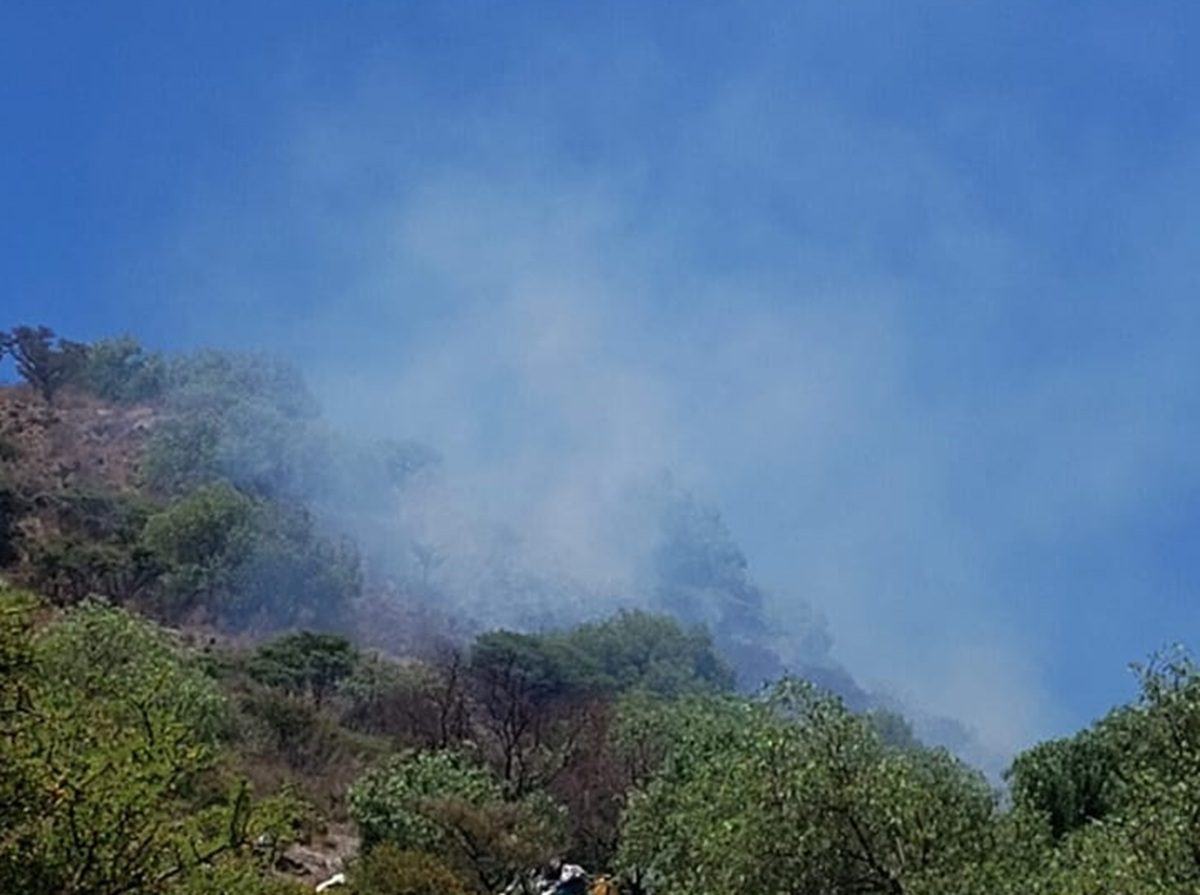 Bomberos y Probosque controlan incendio en Sierra de Guadalupe tras dos horas de intensa labor