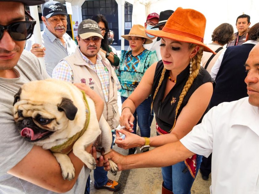 Aplicarán 3 millones de vacunas a mascotas en Edomex con brigadas gratuitas