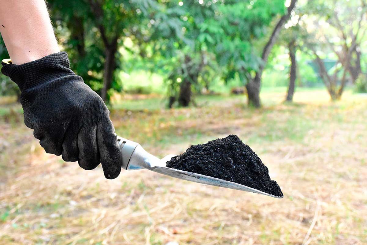 El biocarbón, aliado contra el cambio climático y la erosión del suelo