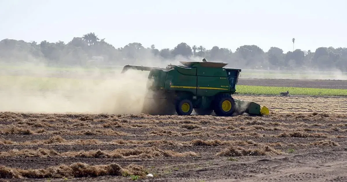 Ingenieros agrónomos proponen agroecología y financiamiento para el campo mexicano