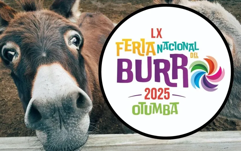 Tradición y color: la Feria del Burro llega a su edición número 60 en Otumba