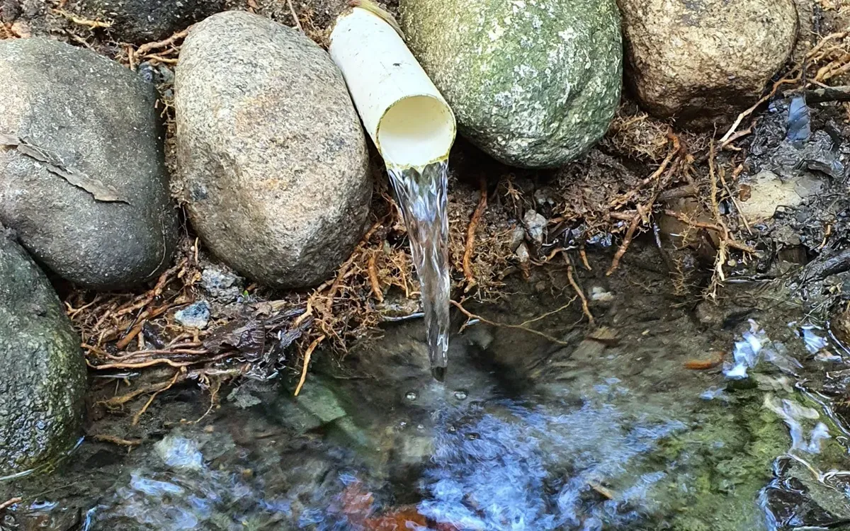 Chapingo convoca al Segundo Foro Nacional del Agua: por un nuevo pacto social hídrico