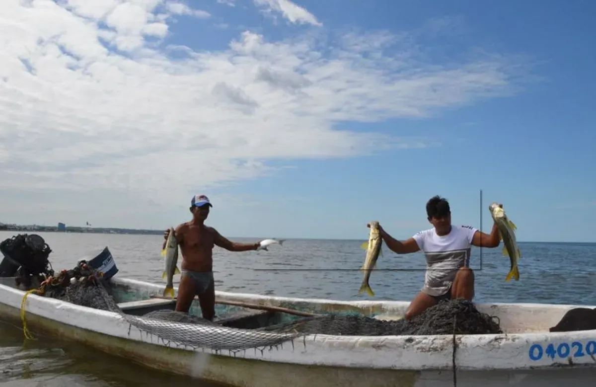 Avanza en México proyecto para pesca sostenible con enfoque comunitario e incluyente
