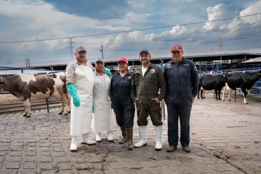 Chapingo expande su proyecto de leche pasteurizada con enfoque social y sustentable