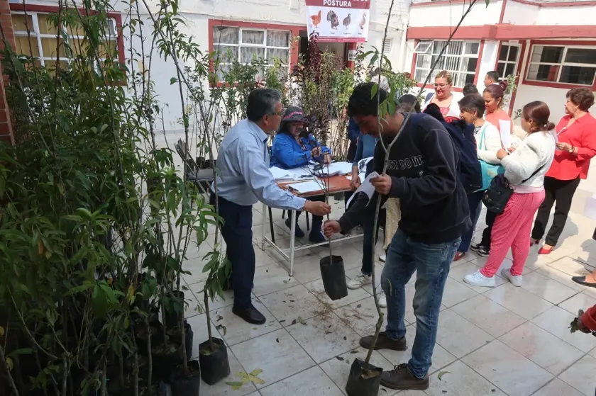 Texcoco impulsa la siembra de huertos familiares con 20 mil árboles frutales