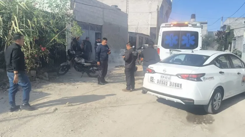 Ataque de abejas en Ecatepec deja siete personas lesionadas; enjambre fue reubicado