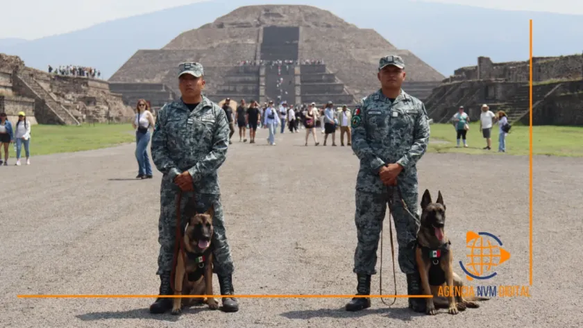 Refuerzan seguridad en Teotihuacán con drones y binomios caninos
