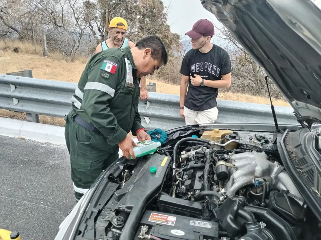 Brindaron Ángeles Verdes más de 220 mil servicios de asistencia