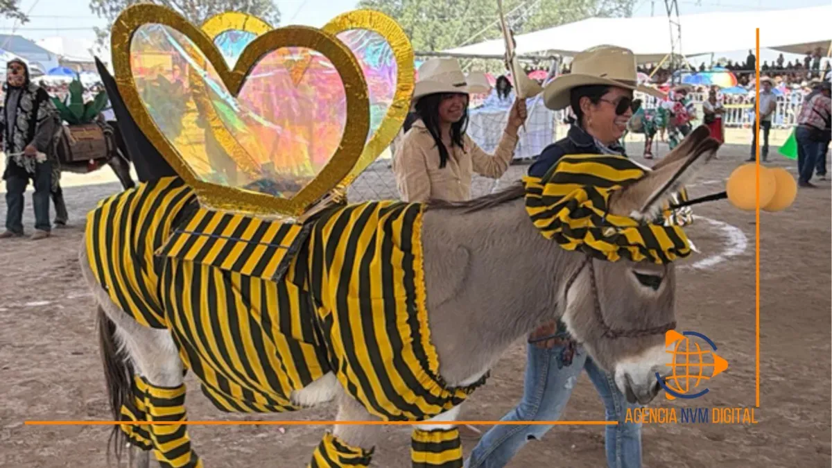 Gana Abejita Chiquitita concurso de disfraces en la edición LXI de la Feria del Burro