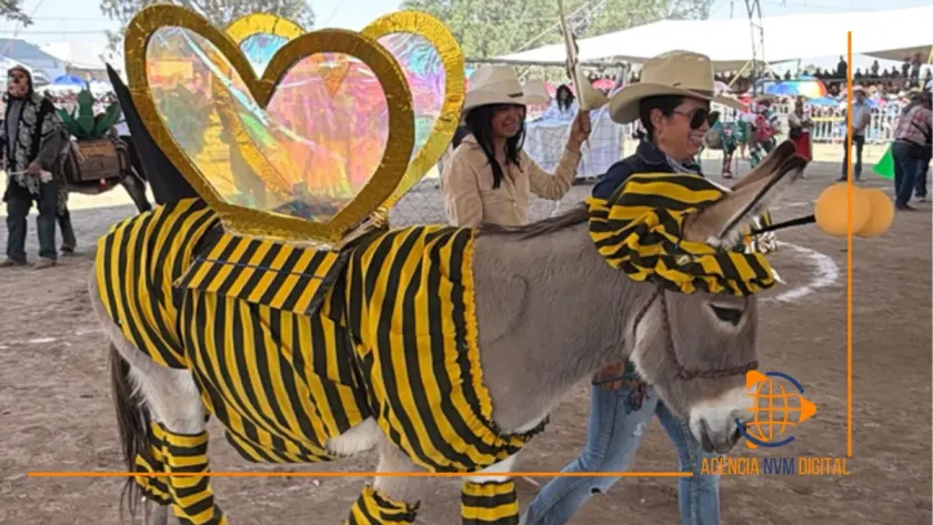 Gana Abejita Chiquitita concurso de disfraces en la edición LXI de la Feria del Burro