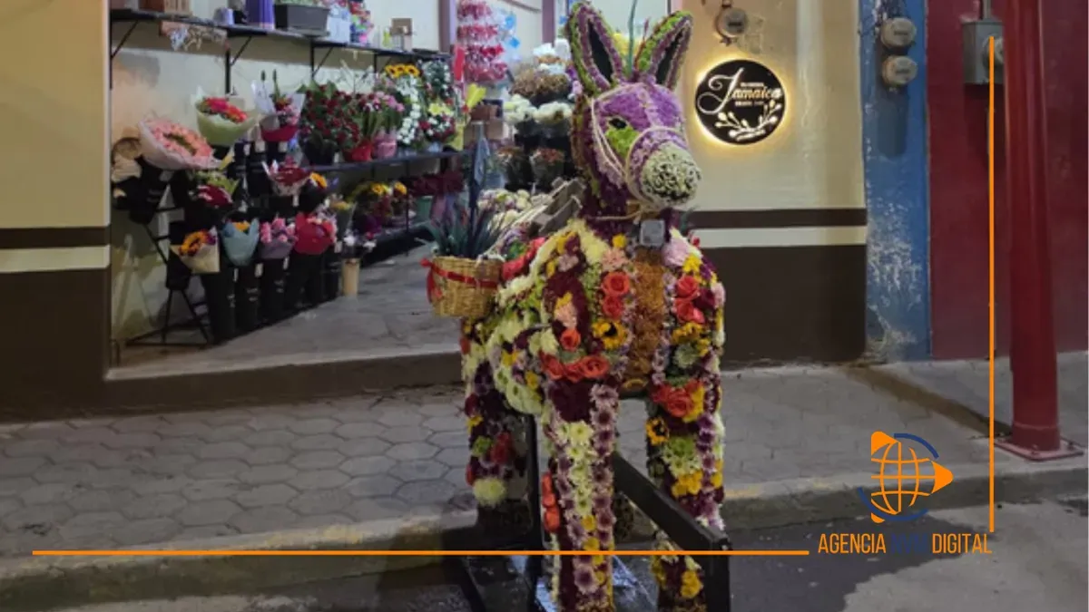Exhiben a Florencio el Burro hecho de flores que conquista Otumba