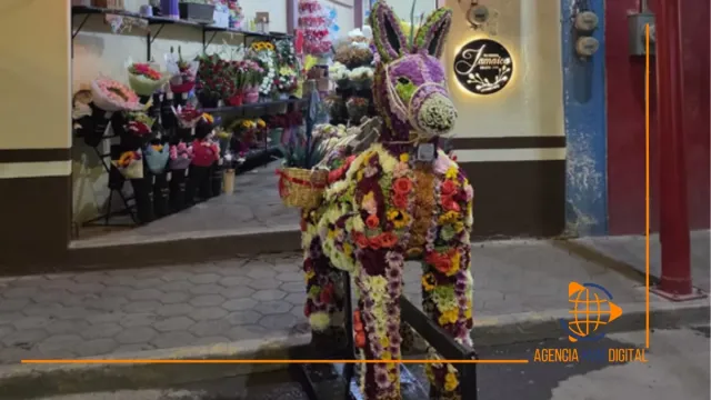 Exhiben a Florencio el Burro hecho de flores que conquista Otumba