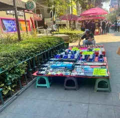 Buscan empresarios reordenar Zona Rosa previo al Mundial.