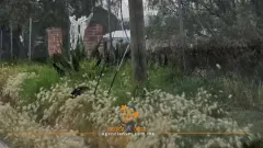 Vecinos de San Miguel Atepoxco denuncian sabotaje en red telefónica