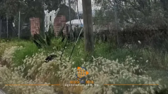 Vecinos de San Miguel Atepoxco denuncian sabotaje en red telefónica