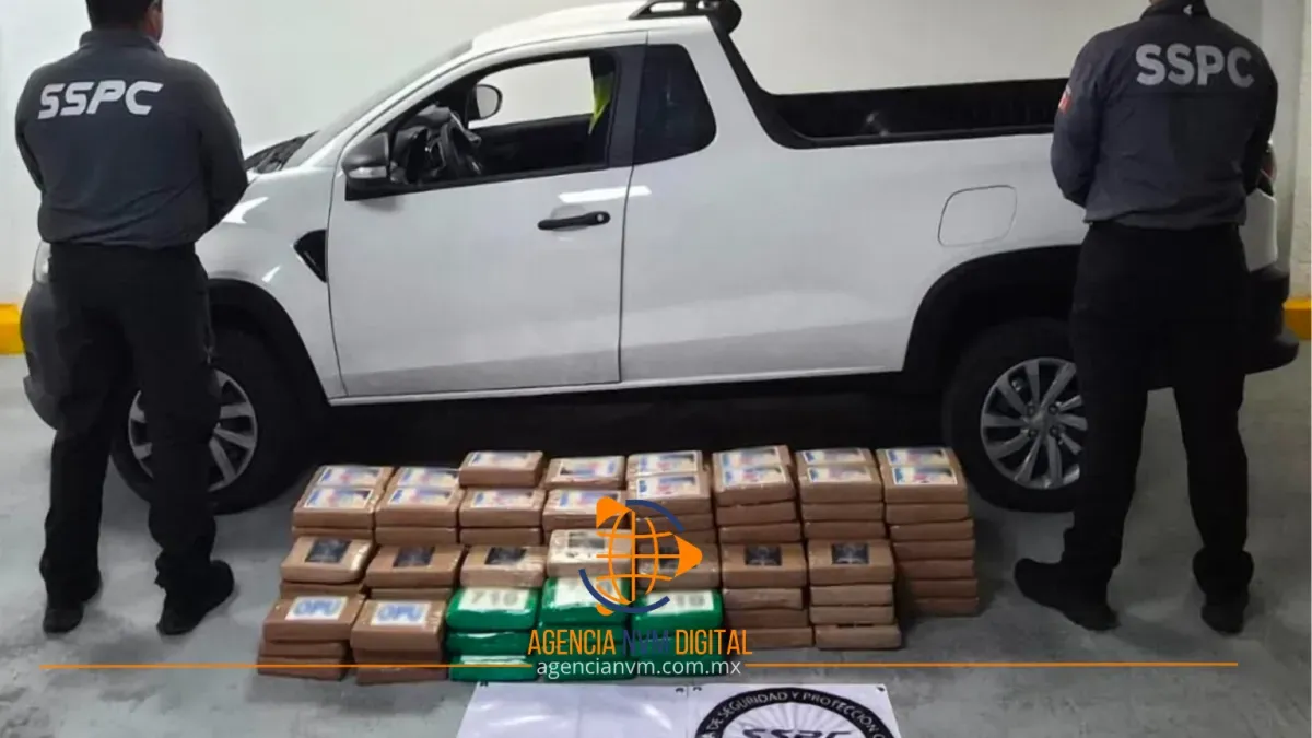 Aseguran más de 200 kilos de cocaína en Alcaldía  Tlalpan  