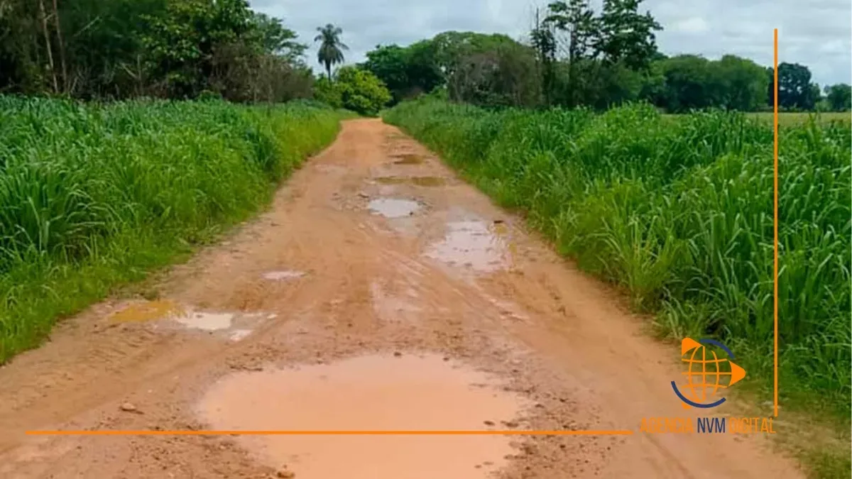 Peligra suministro alimentario nacional por crisis agrícola en Barinas