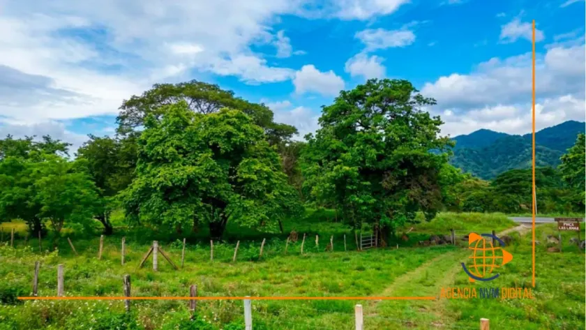 Señala SVIAA crisis estructural que amenaza agricultura venezolana