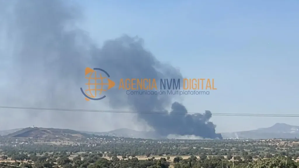 Combate Protección Civil incendio forestal en Nopaltepec.
