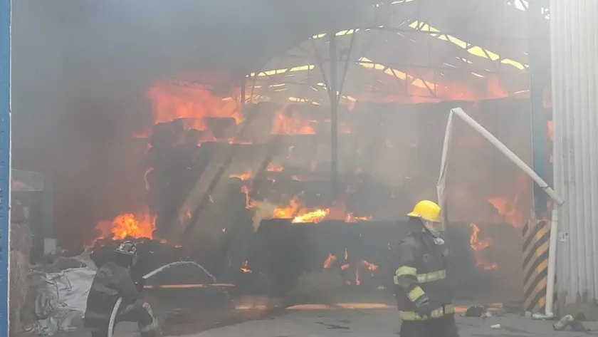 Combaten fuerte incendio en bodega de pastura en Acolman