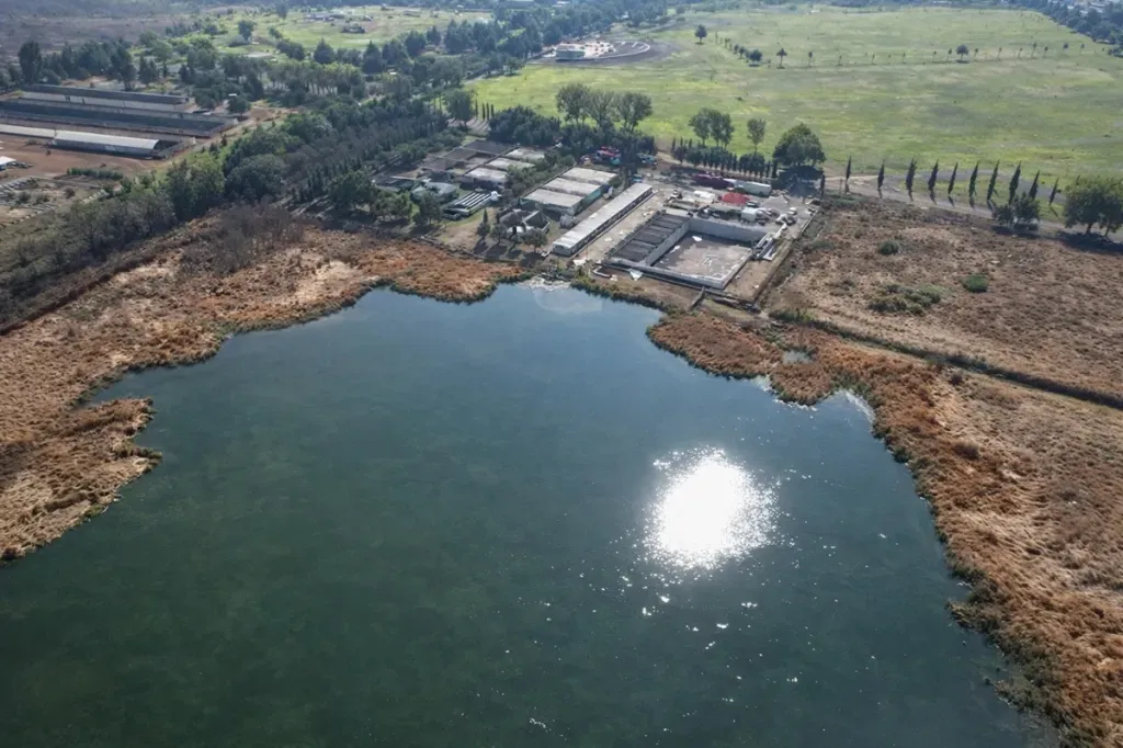 Convierten aguas tratadas en santuario de aves en Sierra Hermosa