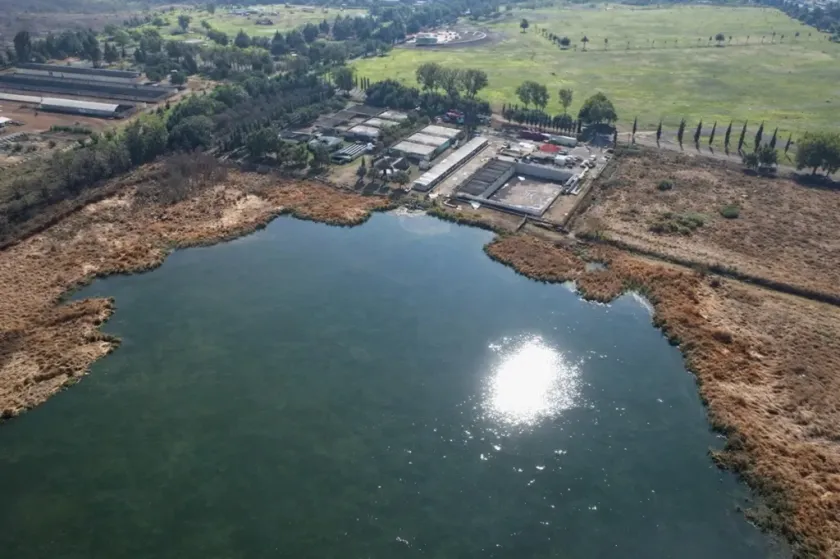 Convierten aguas tratadas en santuario de aves en Sierra Hermosa