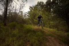 Convocan a más de 500 ciclistas al Reto Jala 2025