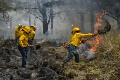 Coordinan brigadas municipales manejo del fuego en suelo mexiquense