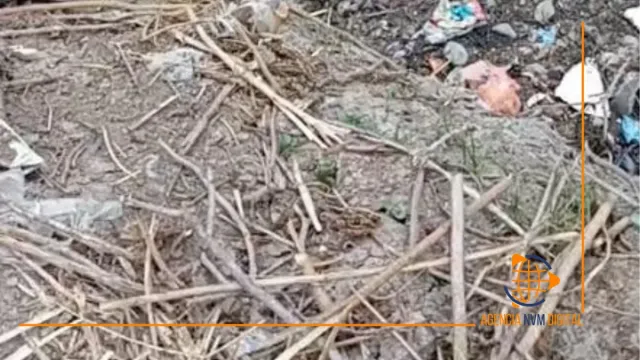 Hallan cuerpo femenino durante búsqueda de menor desaparecida